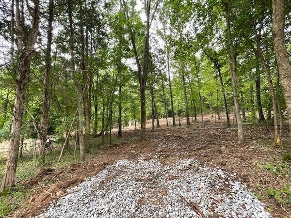 4595 Chapel Hill Rd, Unit 3, Southside, TN 37171