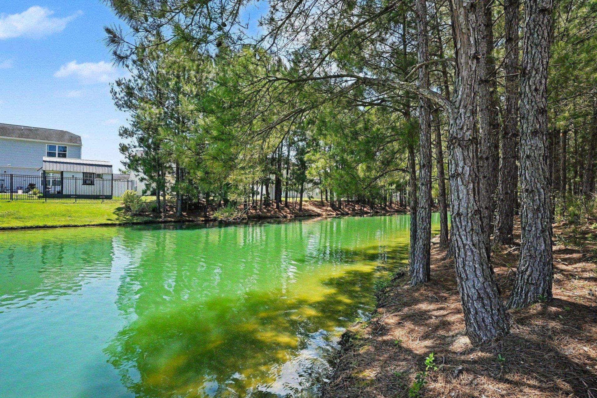 916 Clay Pigeon Ct.  Photo 26