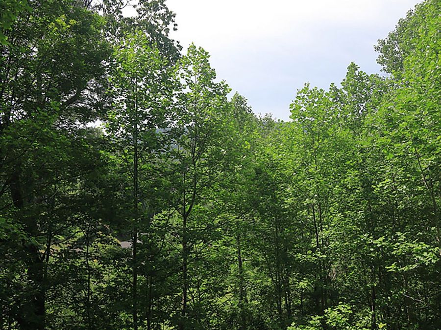 Property Image 51