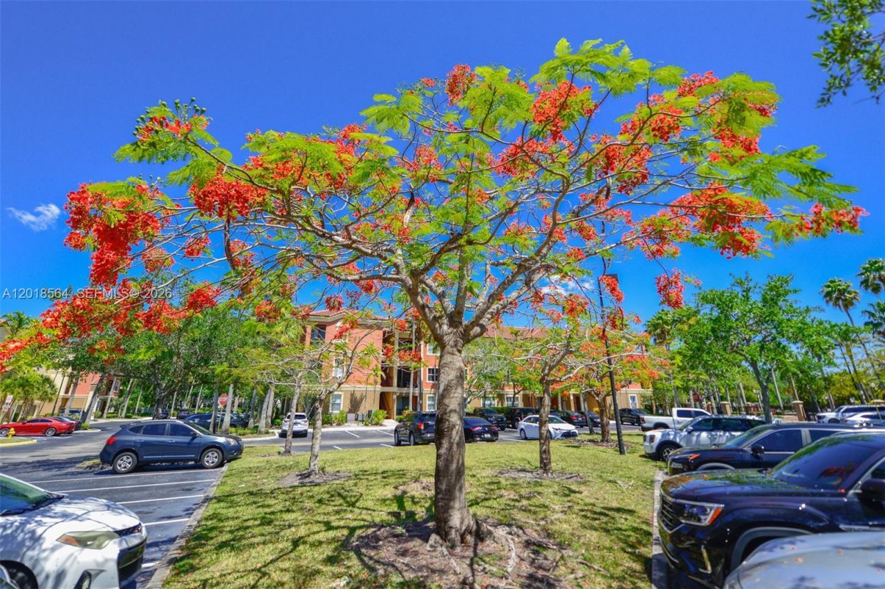 4402 SW 160th Ave , Unit 934, Miramar, FL 33027 Photo