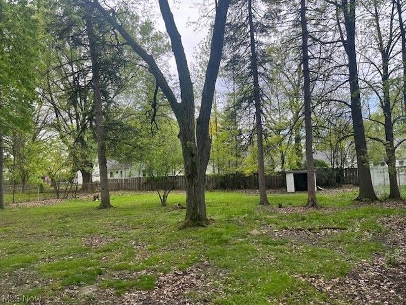 2100 Glenridge Road, Euclid, OH 44117 Photo 2