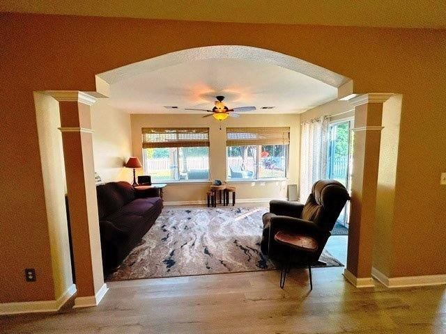 299 Junco Circle  Photo 4