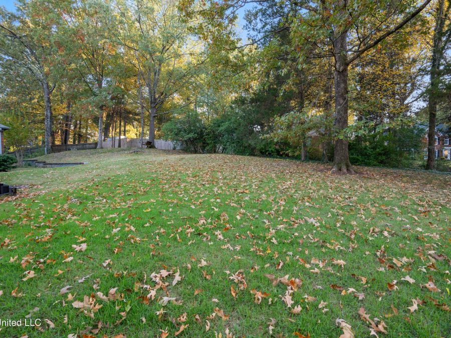 Property Image 43