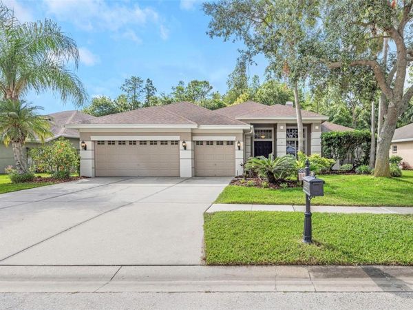 10326 MILLPORT DRIVE, TAMPA, FL 33626