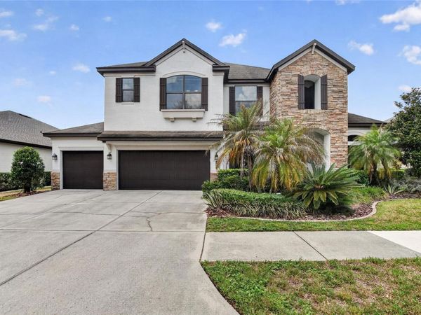 7959 HAMPTON LAKE DRIVE, TAMPA, FL 33647