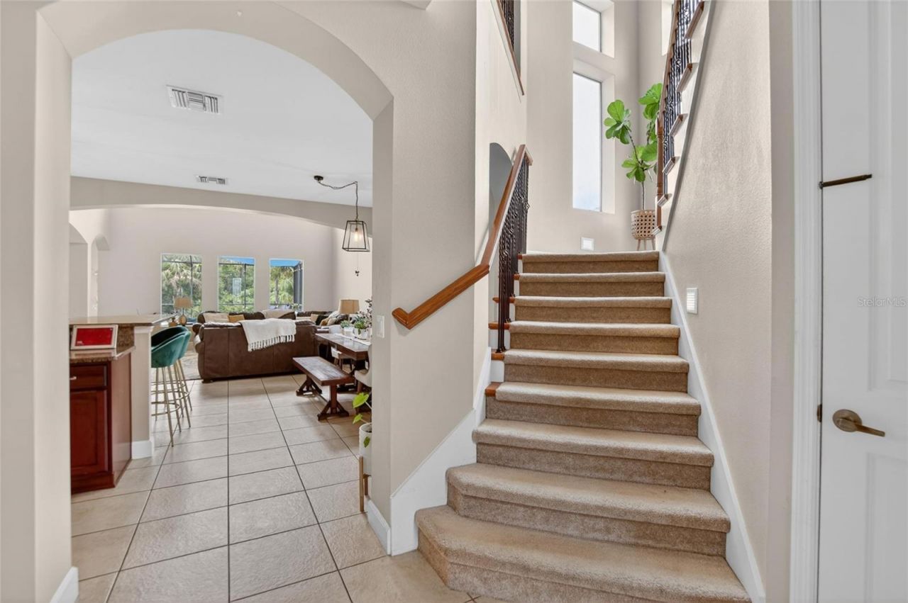 7959 Hampton Lake Drive, Tampa, FL 33647 Photo