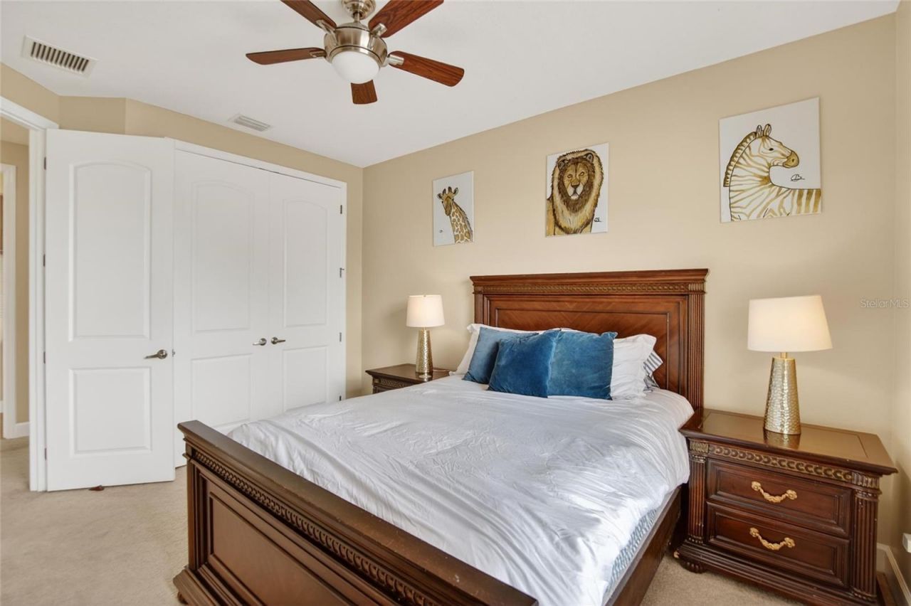 7959 Hampton Lake Drive, Tampa, FL 33647 Photo
