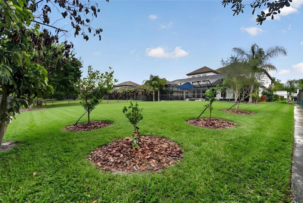 7959 Hampton Lake Drive, Tampa, FL 33647 Photo