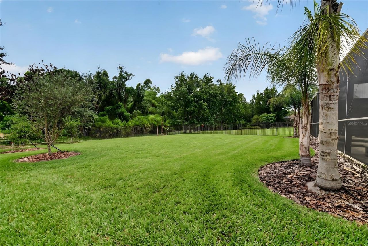7959 Hampton Lake Drive, Tampa, FL 33647 Photo