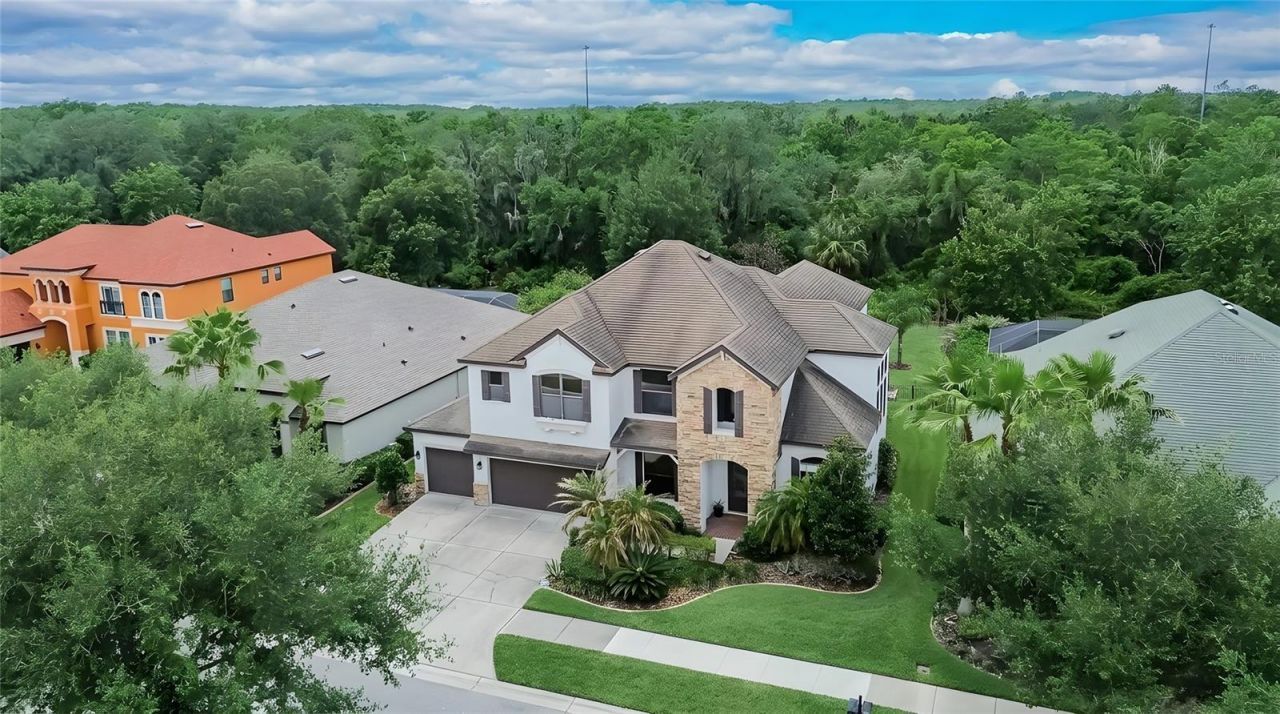 7959 Hampton Lake Drive, Tampa, FL 33647 Photo