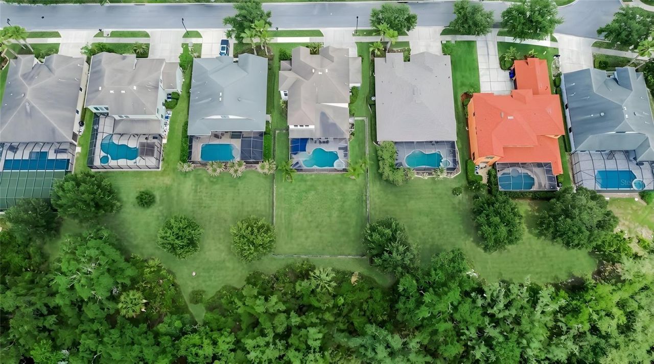 7959 Hampton Lake Drive, Tampa, FL 33647 Photo