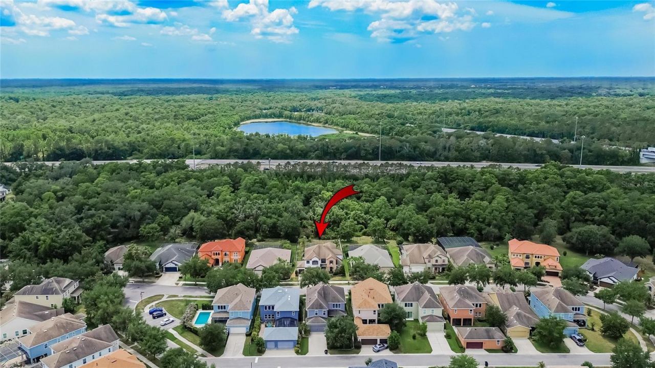 7959 Hampton Lake Drive, Tampa, FL 33647 Photo