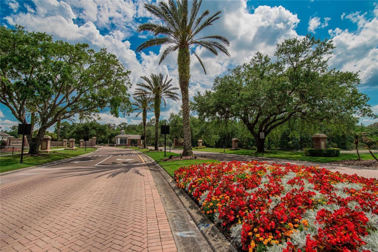 7959 Hampton Lake Drive, Tampa, FL 33647 Photo