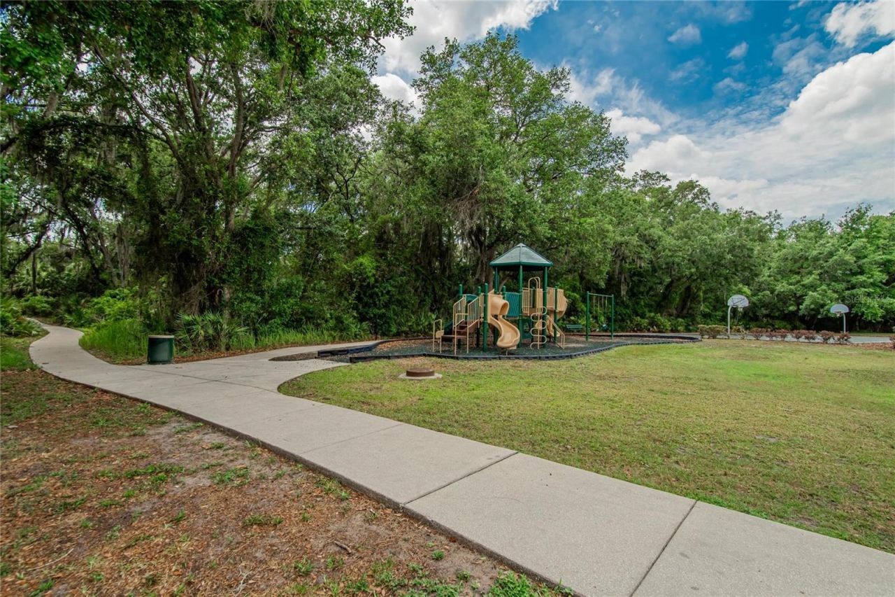 7959 Hampton Lake Drive, Tampa, FL 33647 Photo