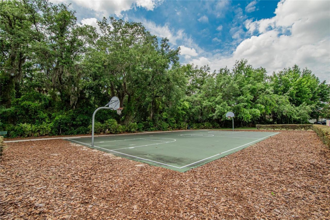 7959 Hampton Lake Drive, Tampa, FL 33647 Photo