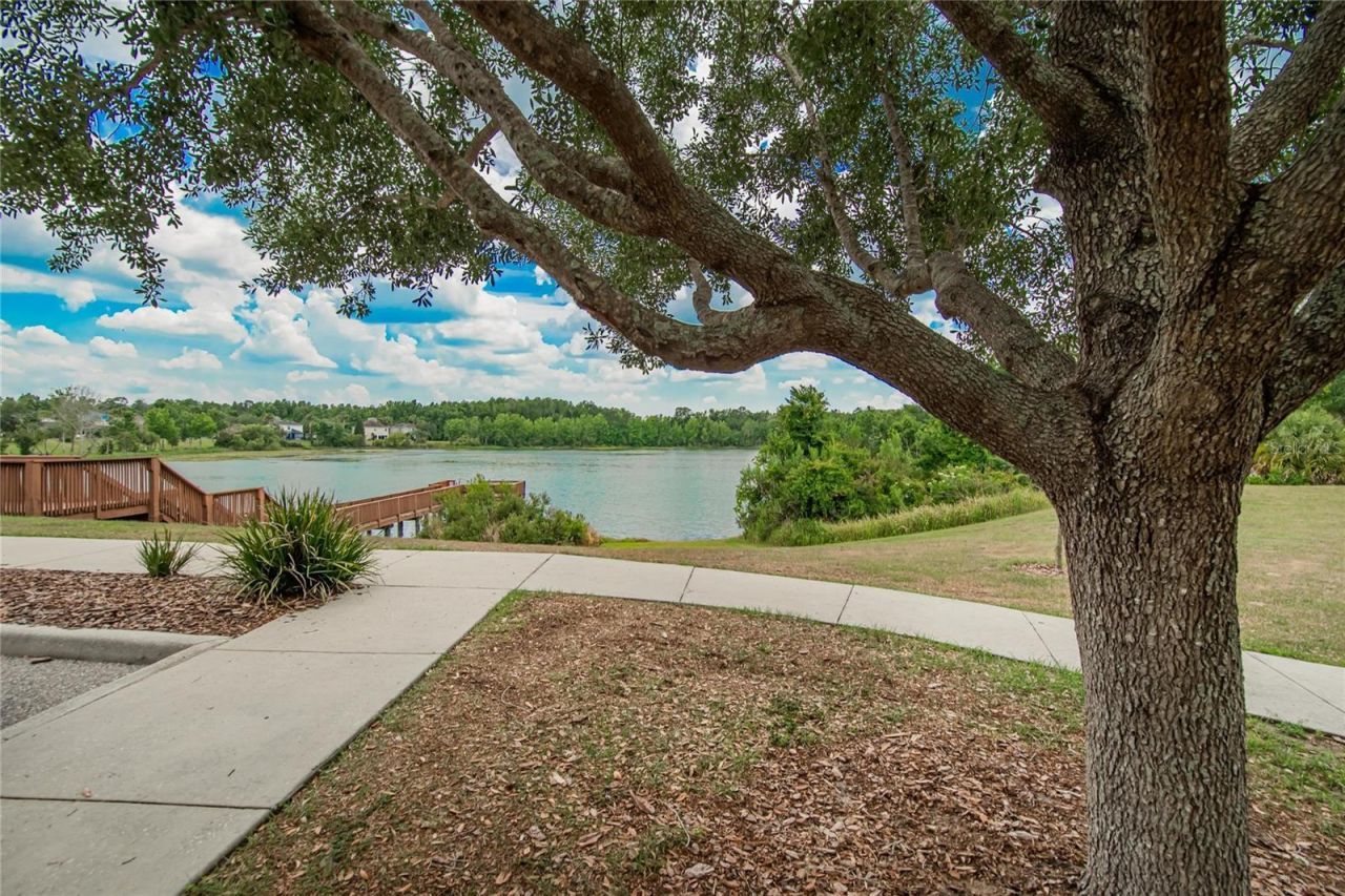 7959 Hampton Lake Drive, Tampa, FL 33647 Photo