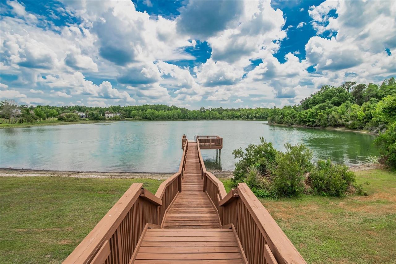 7959 Hampton Lake Drive, Tampa, FL 33647 Photo