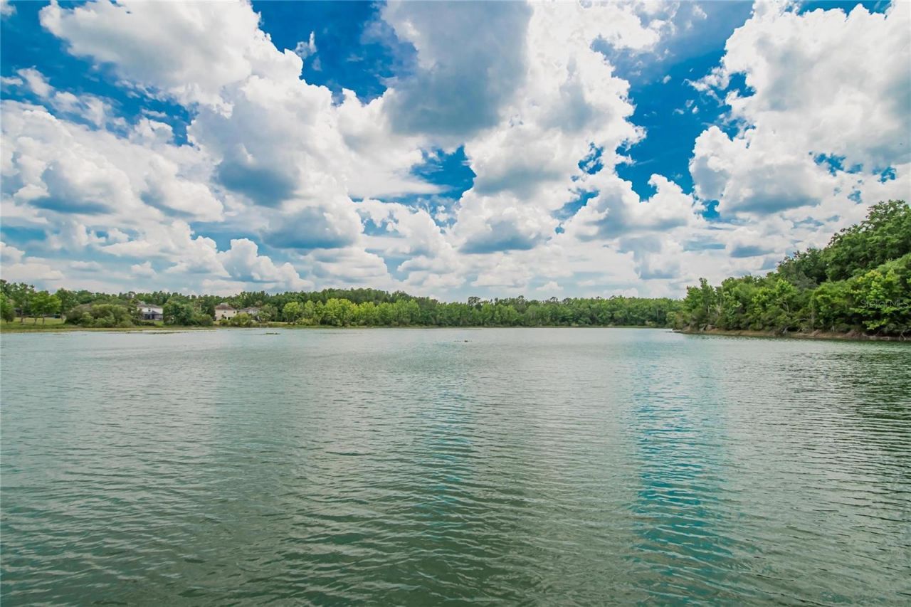 7959 Hampton Lake Drive, Tampa, FL 33647 Photo