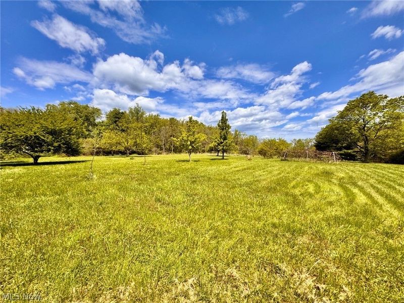 1975 Mcgowan Road, Norton, OH 44203 Photo 5