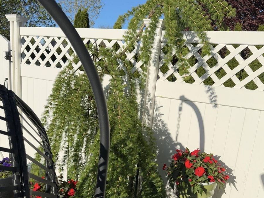 Property Image 43