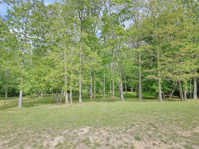 279 Poes Run Road, Londonderry, OH 45647 Photo 63