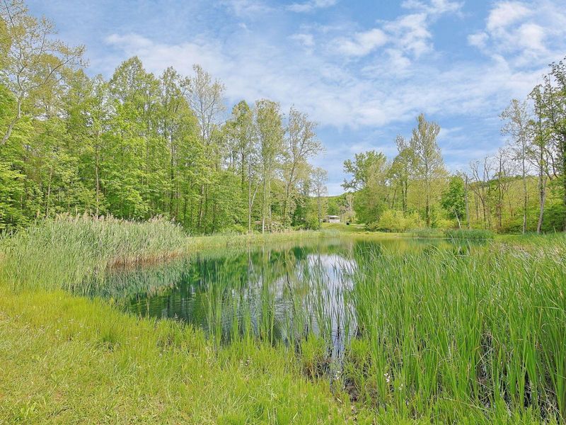 279 Poes Run Road, Londonderry, OH 45647 Photo 65