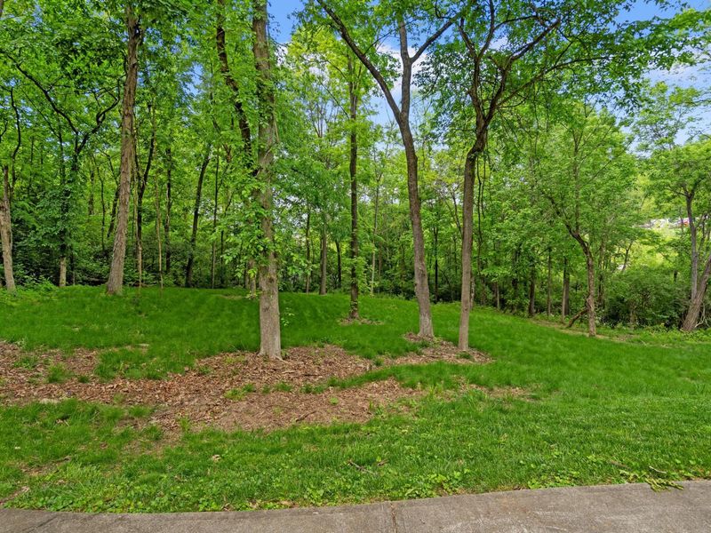 6236 Licking Pike, Cold Spring, KY 41076 Photo 44