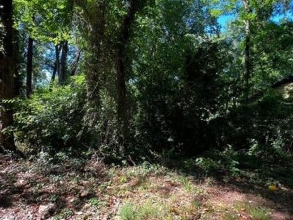 0 Dalton Street SE, Atlanta, GA 30315
