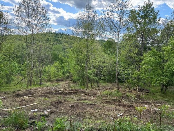 208 Easy Street , Freeport, OH 43973