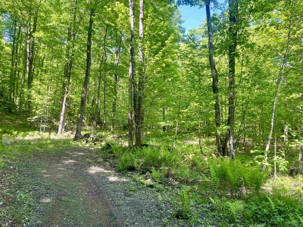220 Middle Road, Chittenden, VT 05763
