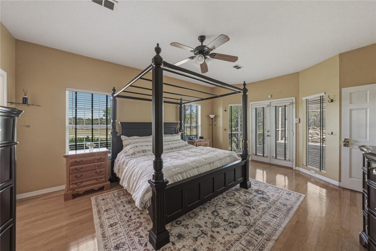 29001 Bayhead Road, Dade City, FL 33523 Photo