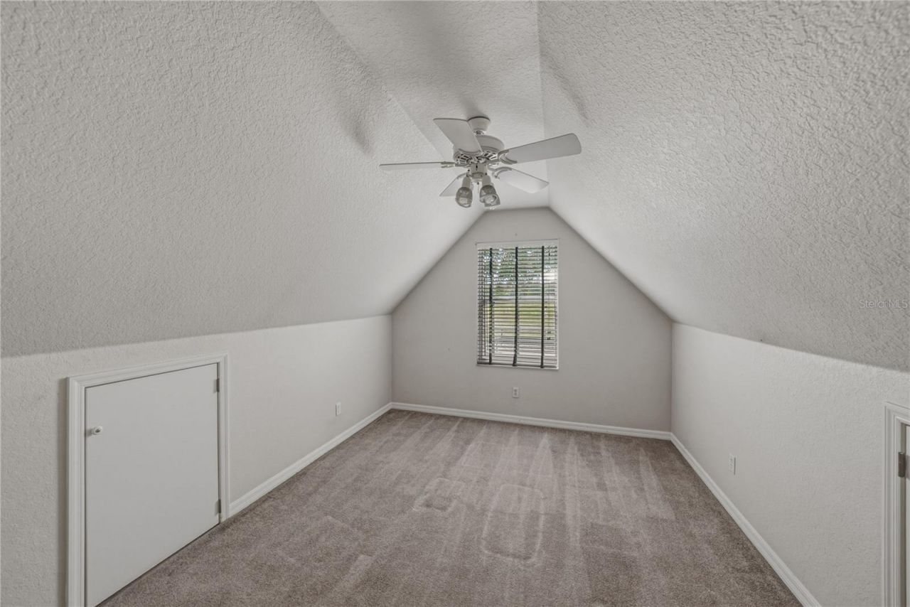 29001 Bayhead Road, Dade City, FL 33523 Photo
