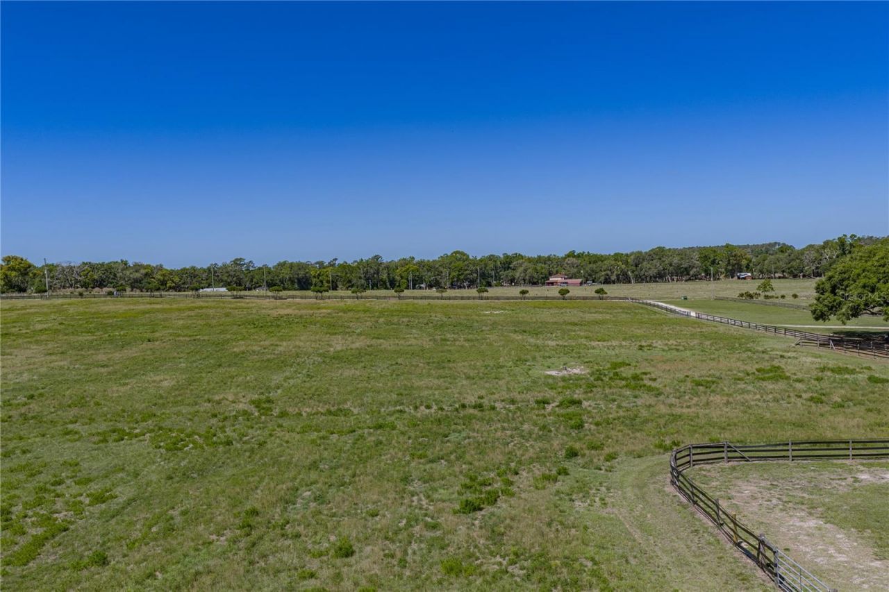 29001 Bayhead Road, Dade City, FL 33523 Photo