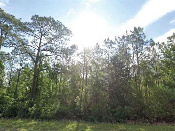 125 MADEIRA STREET , PALATKA, FL 32177