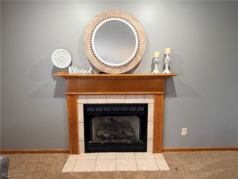 3440 W Middletown Road, Columbiana, OH 44408 Photo 23