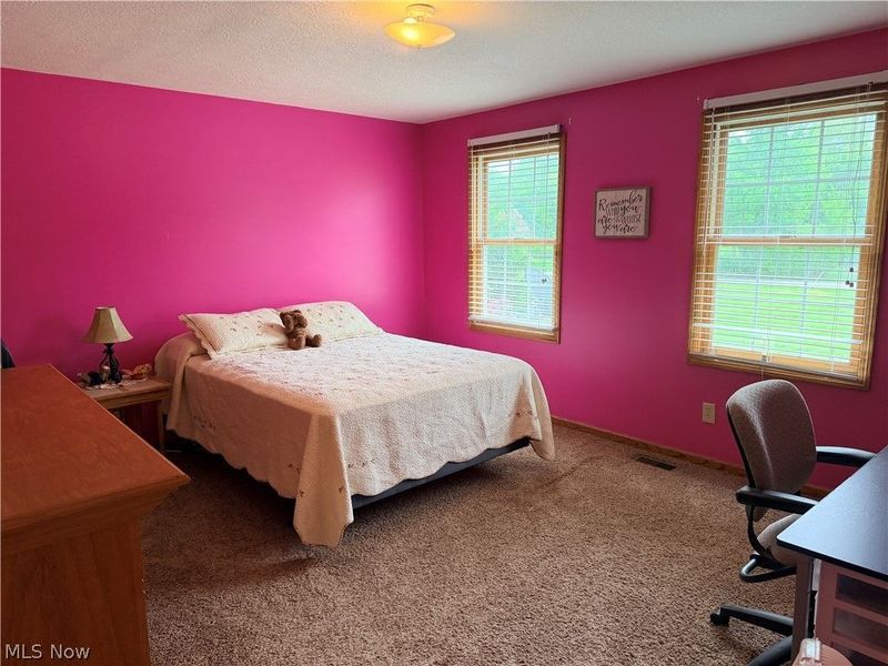 3440 W Middletown Road, Columbiana, OH 44408 Photo 28