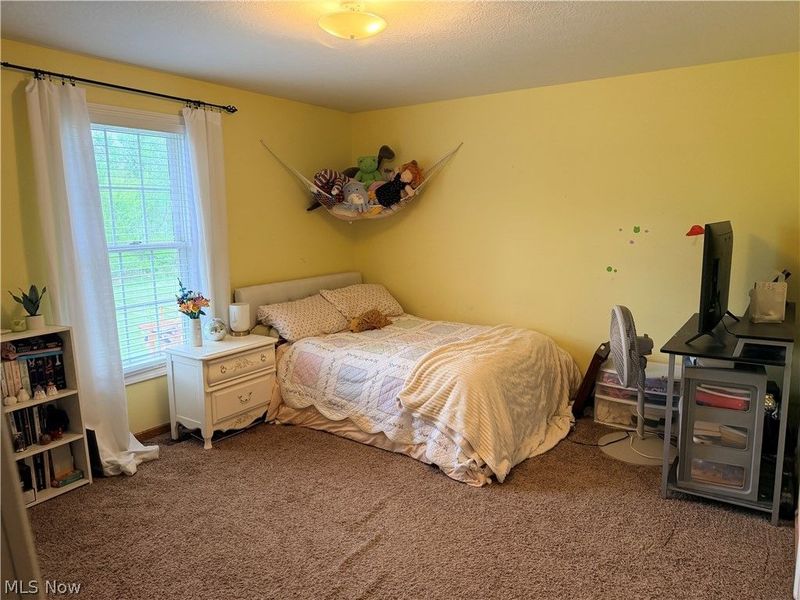 3440 W Middletown Road, Columbiana, OH 44408 Photo 30