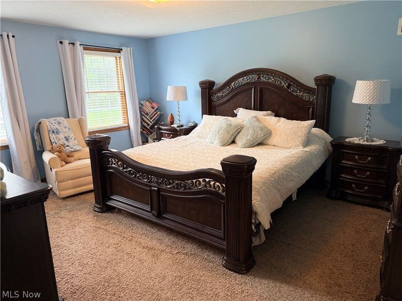 3440 W Middletown Road, Columbiana, OH 44408 Photo 34