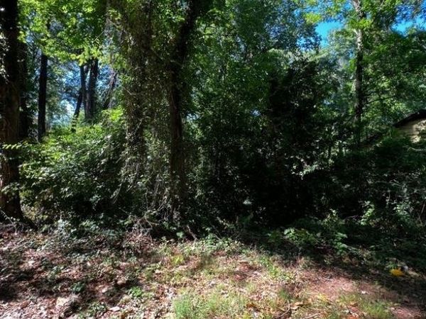 0 Dalton Street SE, Atlanta, GA 30315