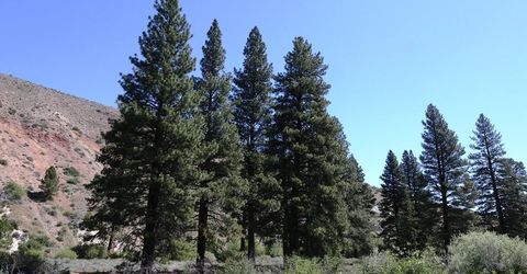 401 River Pines Drive, Lot #4, Verdi, NV 89439 Photo