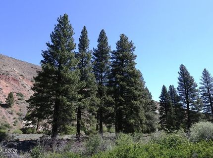 401 River Pines Drive, Lot #4, Verdi, NV 89439 Photo