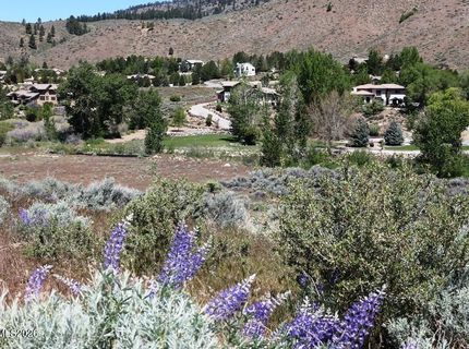 401 River Pines Drive, Lot #4, Verdi, NV 89439 Photo