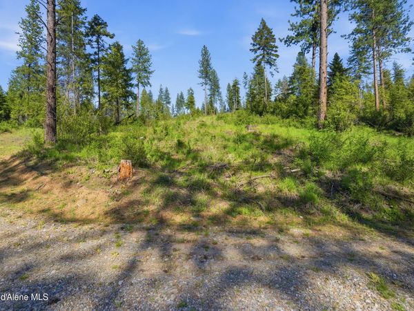 NNA Stone Rd Lot 5 (20.0 Acres), Blanchard, ID 83804