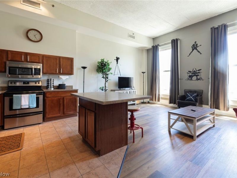 408 W Saint Clair Avenue, Unit 607, Cleveland, OH 44113 Photo 2