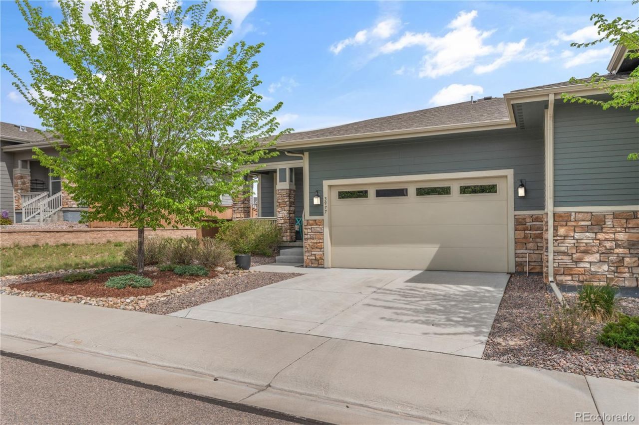 3977 Happy Hollow Drive, Castle Rock, CO 80104 Main Photo