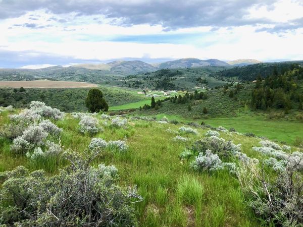 12433 Angileen's Way, Lava Hot Springs, ID 83246
