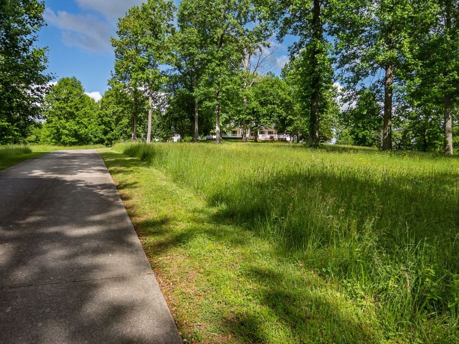 Property Image 59
