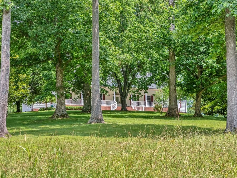 Property Image 65