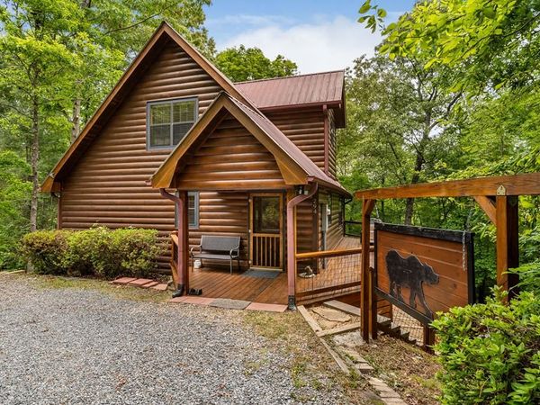 294 Oakwood Trail, Mineral Bluff, GA 30559