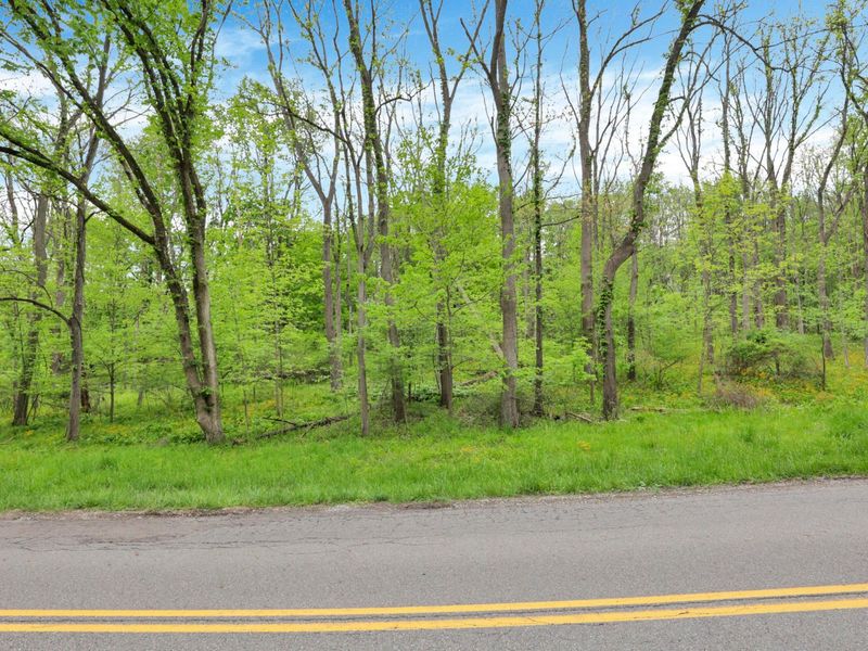 0 Daffodil Drive , Unit Lot 163, Howard, OH 43028 Photo 2